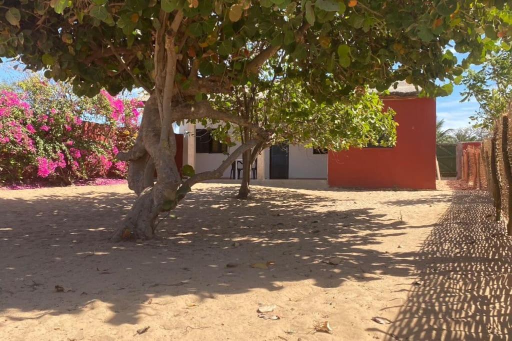 Palmarin Nguedj Petite Maison En Bord De Mer מראה חיצוני תמונה